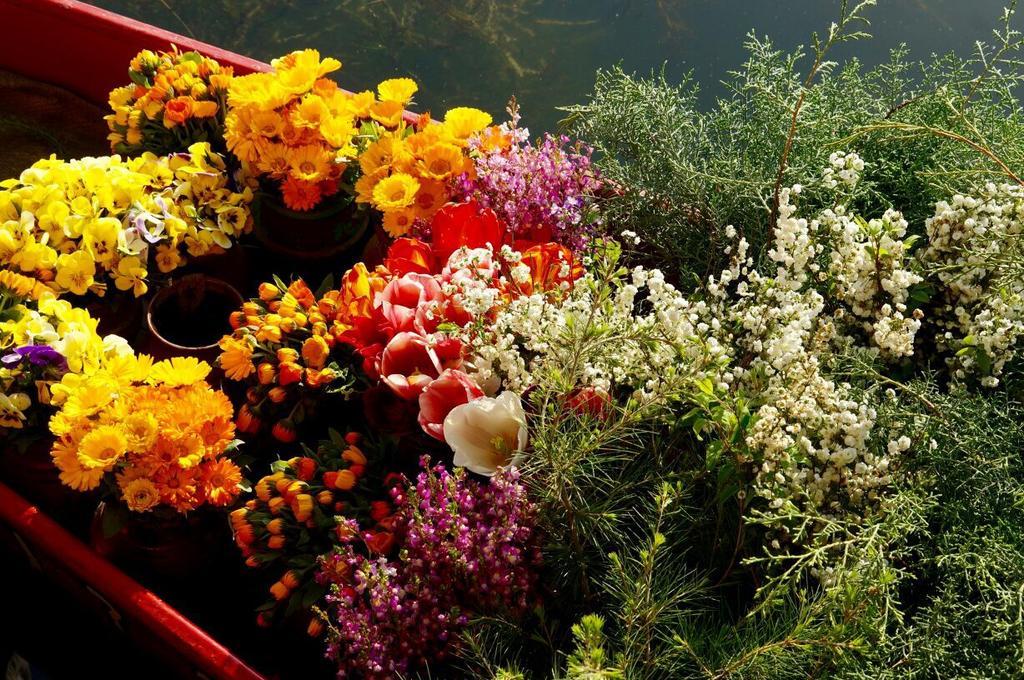 Akbar Group Of Heritage Houseboats Nagīn Bāgh Kültér fotó